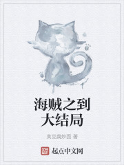 小说：海贼之到大结局，作者：臭豆腐炒面