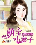 小说：婚然心动：萌宝小妻子，作者：荷菱