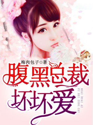 小说：腹黑总裁坏坏爱，作者：梅肉包子