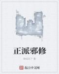 小说：正派邪修，作者：锋临天下