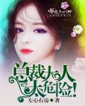 小说：总裁大人，太危险！，作者：左心右房