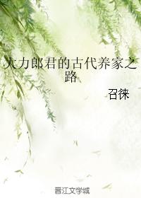 小说：大力郎君的古代养家之路，作者：召徕