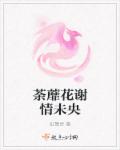 小说：荼蘼花谢情未央，作者：紅鹭灵