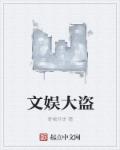 小说：文娱大盗，作者：青椒月饼