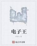 小说：电子王，作者：梦情九
