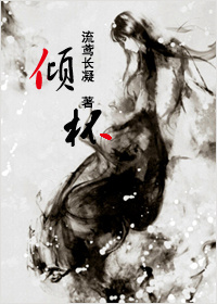 小说：倾杯，作者：流鸢长凝