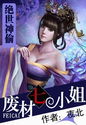 小说：绝世神偷，作者：夜北