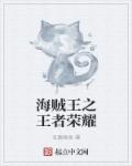 小说：海贼王之王者荣耀，作者：豆腐黄鱼