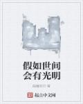 小说：假如世间会有光明，作者：破魔邪刃