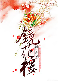 小说：镜花楼，作者：卿九夜