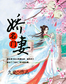 小说：名门娇妻，作者：久岚