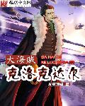 小说：大海贼克洛克达尔，作者：米虫领袖