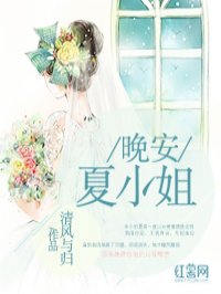 小说：晚安夏小姐，作者：清风与归