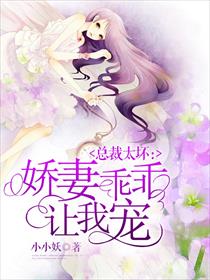 小说：总裁太坏：娇妻乖乖让我宠，作者：小小妖