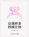 小说：总裁娇妻抓捕计划，作者：萌萌的硬币