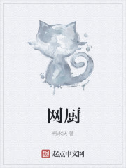 小说：网厨，作者：柯永泆