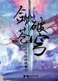 小说：剑破苍穹，作者：会飞的胖猪