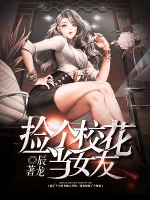 小说：捡个校花当女友，作者：辰龙