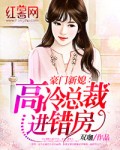 小说：豪门新媳：高冷总裁进错房，作者：双珈