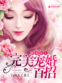 小说：娇妻在上：完美宠婚一百招，作者：白袍人