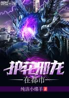小说：护花邪龙在都市，作者：纯洁小绵羊