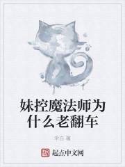 小说：妹控魔法师为什么老翻车，作者：伞白