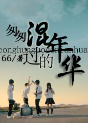 小说：匆匆混过的年华，作者：66