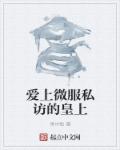 小说：爱上微服私访的皇上，作者：雨中愁