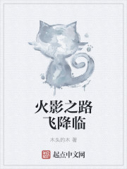 小说：火影之路飞降临，作者：木头的木