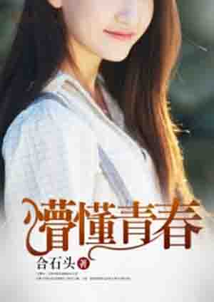 小说：懵懂青春，作者：合石头