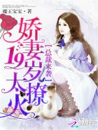 总裁来袭:娇妻19岁太燎火