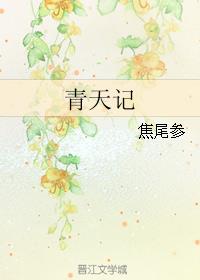 小说：青天记，作者：焦尾参