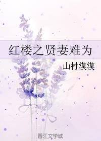 小说：红楼之贤妻难为，作者：山村漠漠