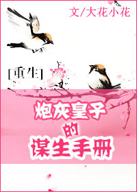 小说：炮灰皇子的谋生手册，作者：大花小花