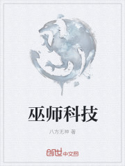 小说：巫师科技，作者：八方无神