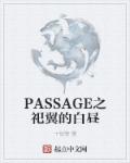 小说：PASSAGE之祀翼的白昼，作者：十似雪