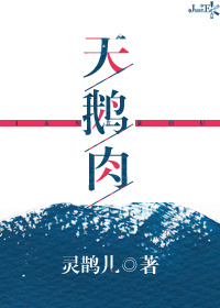 小说：天鹅肉，作者：灵鹊儿