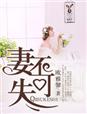 小说：妻不可失，作者：欧雅馨