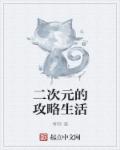 小说：二次元的攻略生活，作者：青棘