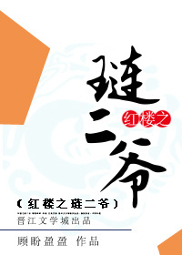 小说：红楼之琏二爷，作者：顾盼盈盈