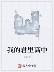 小说：我的君里高中，作者：凉铖