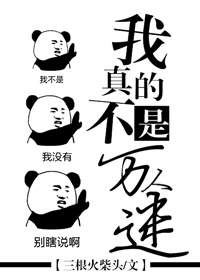 小说：我真的不是万人迷，作者：三根火柴头