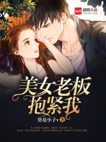 小说：美女老板抱紧我，作者：葵花小子v