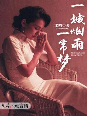 小说：一城烟雨一帘梦，作者：未晓