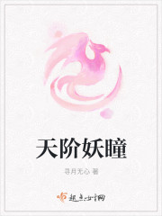 小说：天阶妖瞳，作者：寻月无心