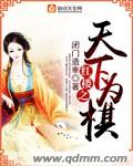 小说：红楼之天下为棋，作者：闭门造車