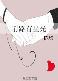 小说：前路有星光，作者：陈姝