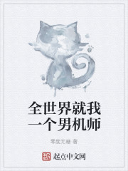 小说：全世界就我一个男机师，作者：零度无糖