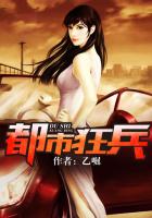 小说：都市狂兵，作者：乙崛
