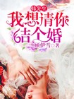 小说：韩先生，我想请你结个婚，作者：顾伊雪